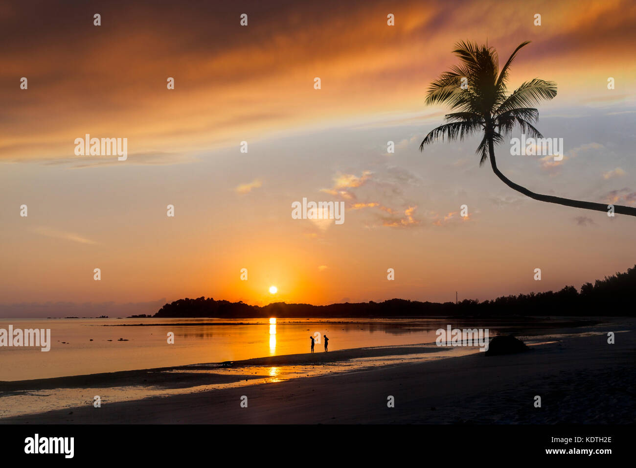 Schönen goldenen Sonnenaufgang über den Sandstrand auf der Insel Bintan in Indonesien mit Silhouette von nicht identifizierbaren Paar Nahrungssuche Muscheln und einzigartige Coconut Stockfoto