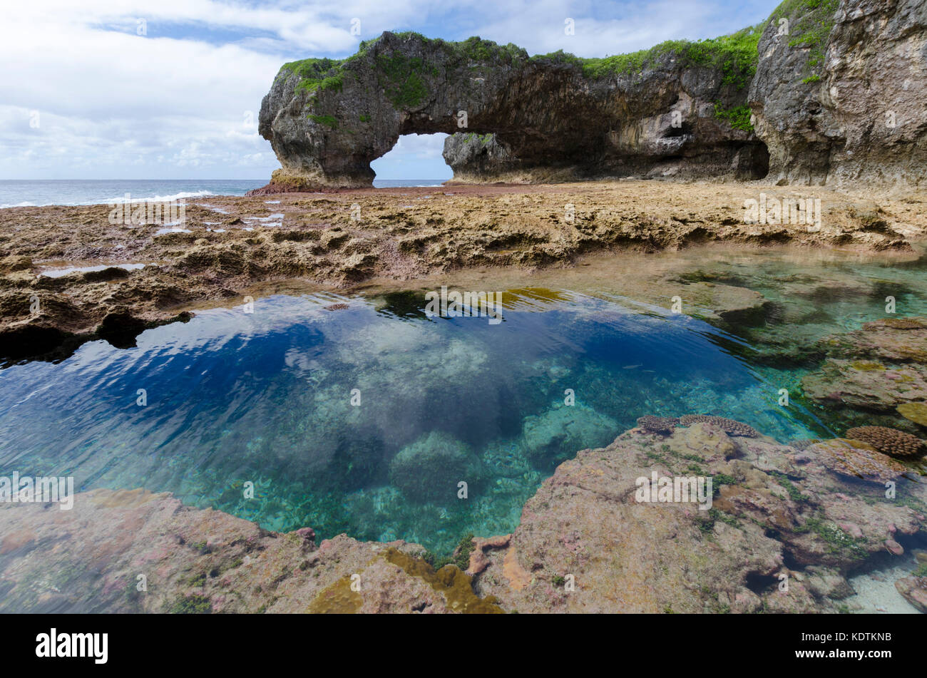 Natural Arch und Reef Pool, Martins, Niue, South Pacific Stockfoto