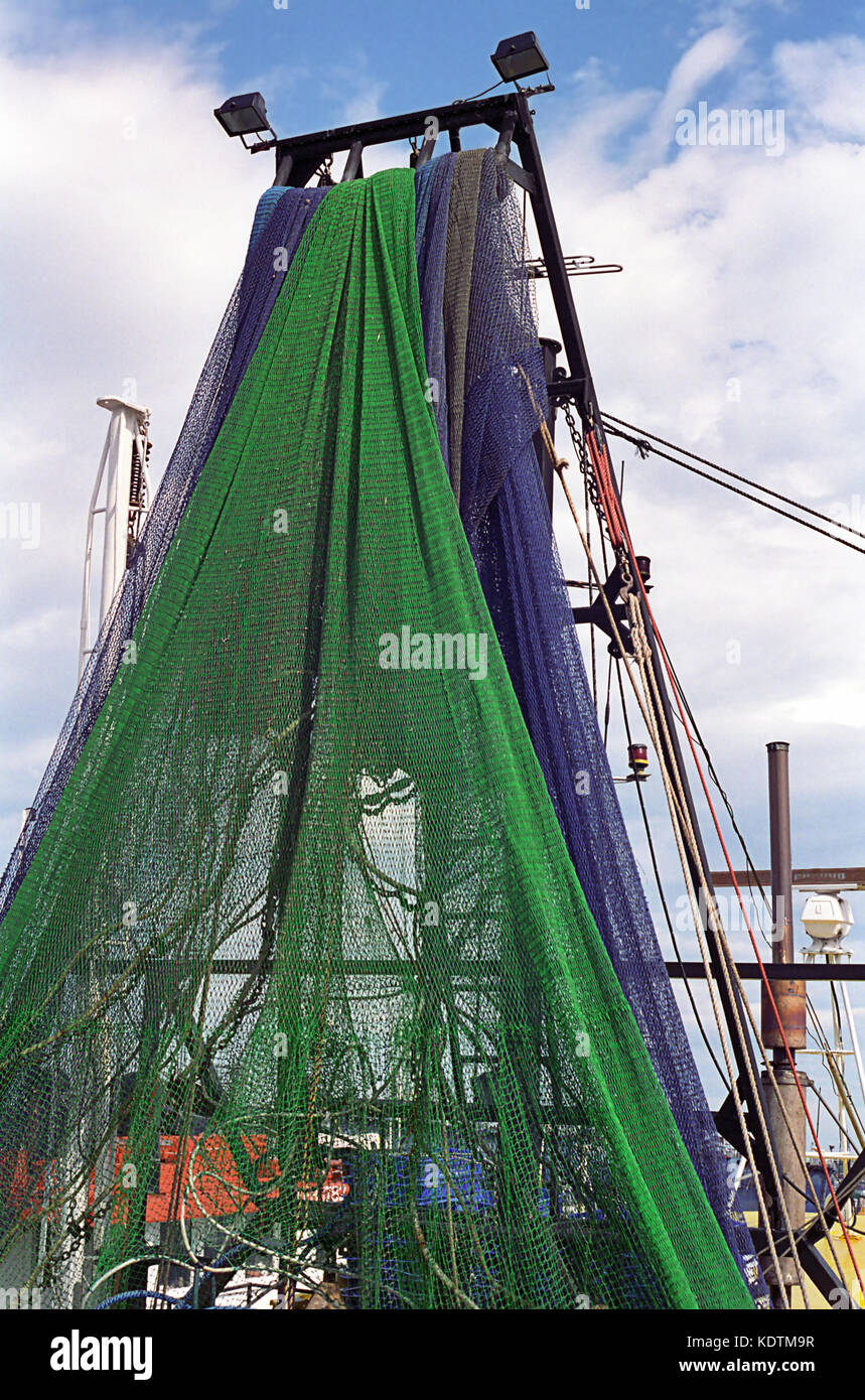 Kommerzielle Fischer der Kooperative Wharf, Newcastle, New South Wales, Australien Stockfoto