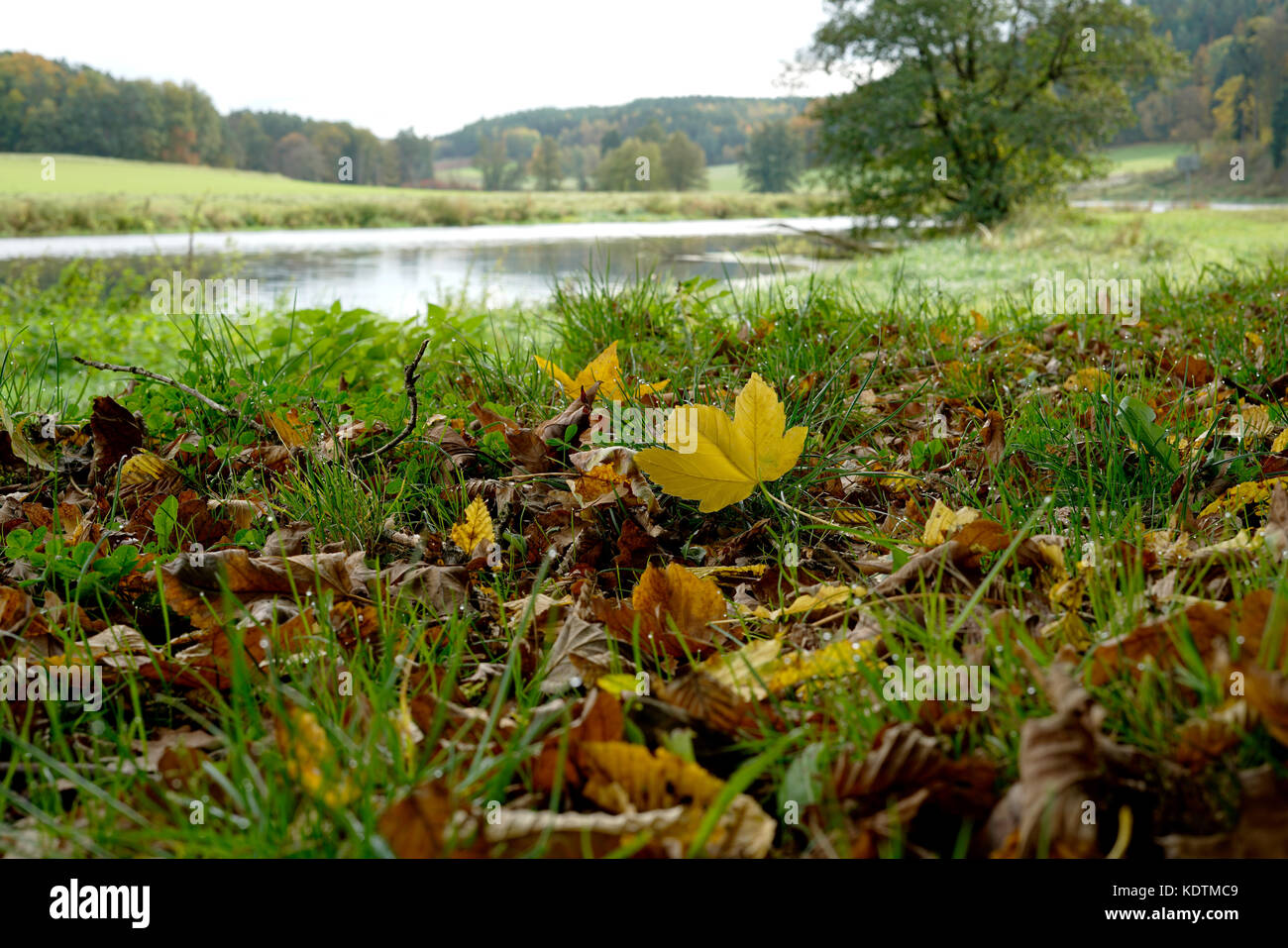 Der Herbst ist eine sehr schöne Jahreszeit. Stockfoto