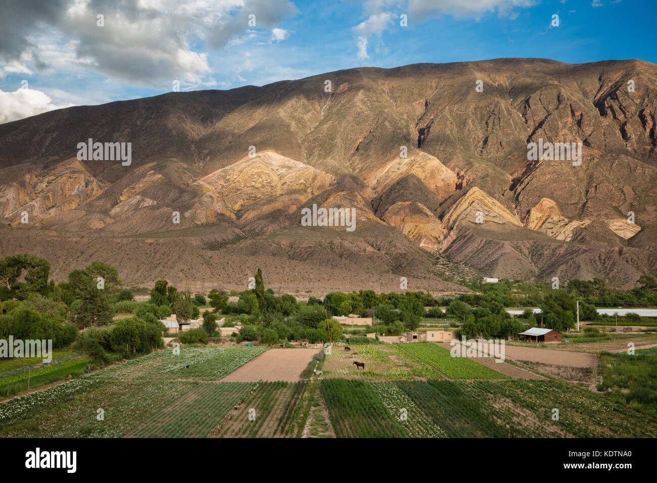 Ackerland in der Nähe von Maimará, mit dem "Hügel von Maler Palette' Jenseits, Quebrada de Humahuaca, Provinz Jujuy, Argentinien Stockfoto