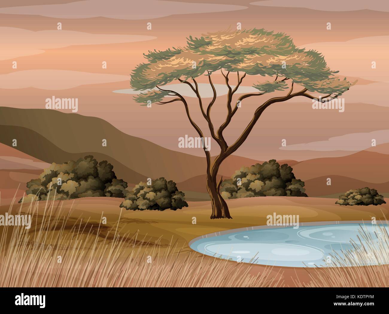 Szene mit Teich im Bereich Illustration Stock Vektor