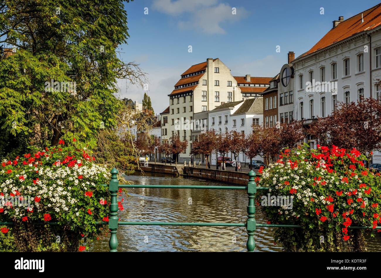 Ein Blick auf die belgische Stadt, Lier Stockfoto