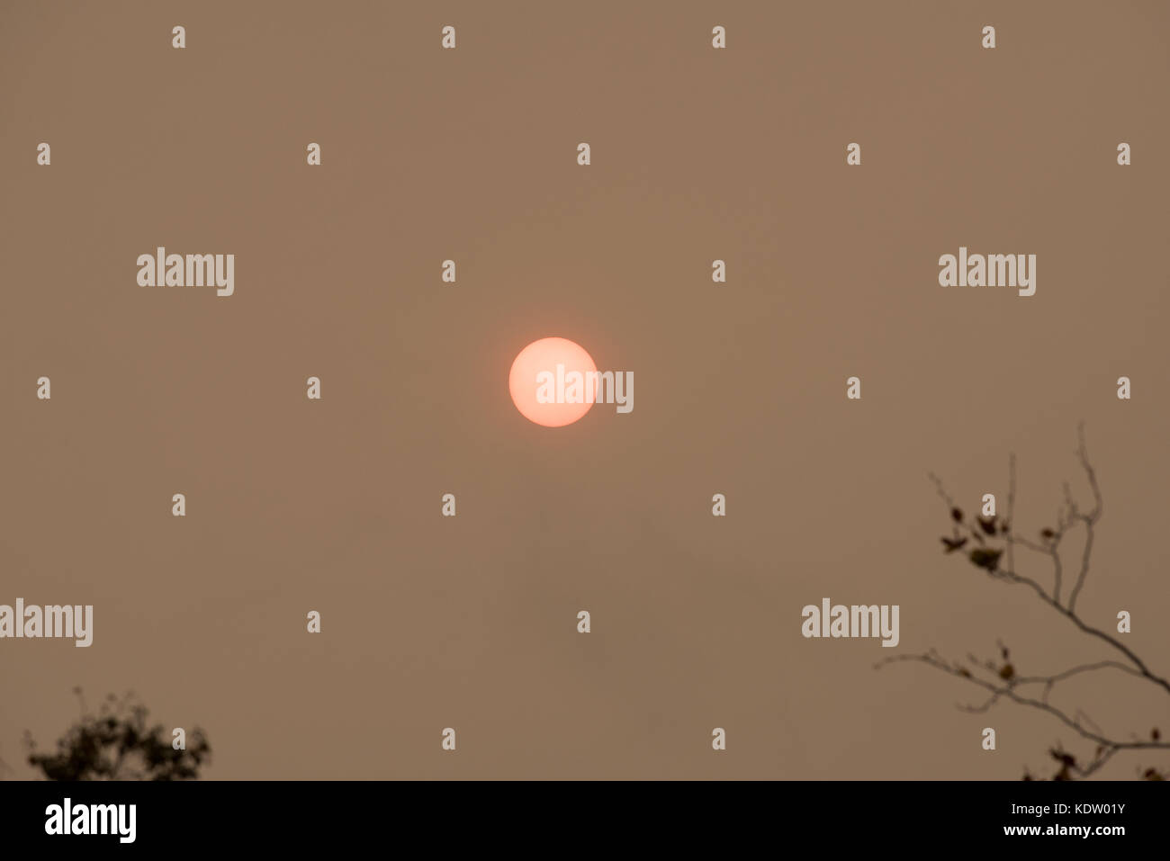 Seltsame rote Mittagssonne als Sturm ophelia Ansätze - Sutton Coldfield, West Midlands Stockfoto