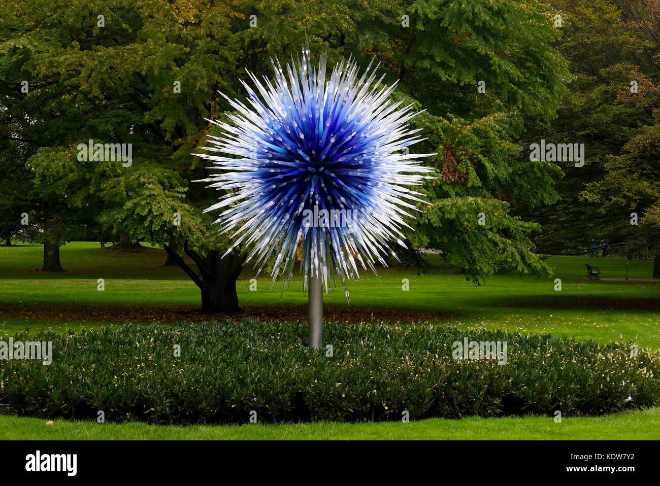 Bronx, New York, USA. 16 Okt, 2017. Der apphire Star' (geblasenem Glas und Stahl), durch Glas Künstler Dale Chihuly an der chihuly Ausstellung im New York Botanical Garden statt. Die Ausstellung konzentriert sich auf das Mischen von mundgeblasenem Glas Kunstwerke und der natürlichen Umwelt. Credit: Nancy kaszerman/zuma Draht/alamy leben Nachrichten Stockfoto