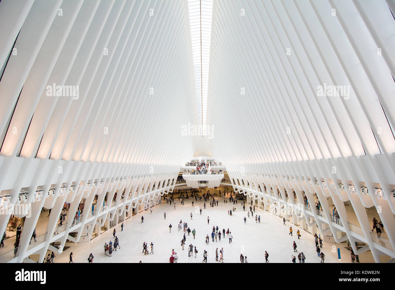 Die beeindruckende Architektur des Oculus am World Trade Center Verkehrsknotenpunkt in New York City, United States Stockfoto