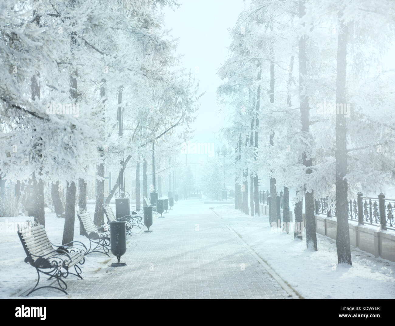 Magic Winter City Park glühende durch Sonnenlicht. verschneite Stadt Landschaft. schöne Bäume im Frost. Hintergrundbeleuchtung sun Wirkung. soft Filter. blau straffende Wirkung. Stockfoto