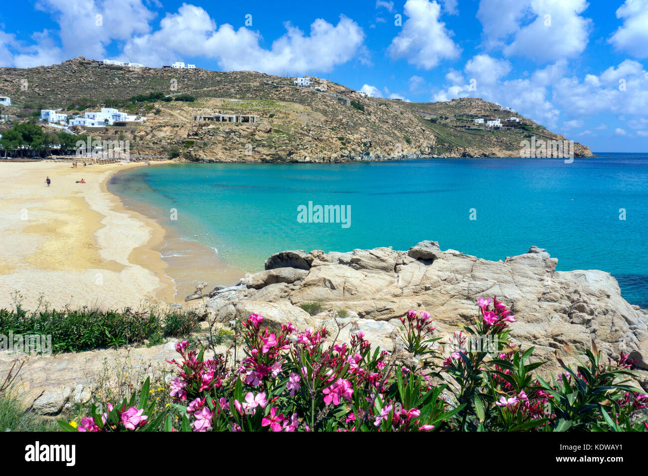 Super Paradise Beach, beliebter Strand südlich von Mykonos, Kykladen, Ägäis, Griechenland, Europa Stockfoto