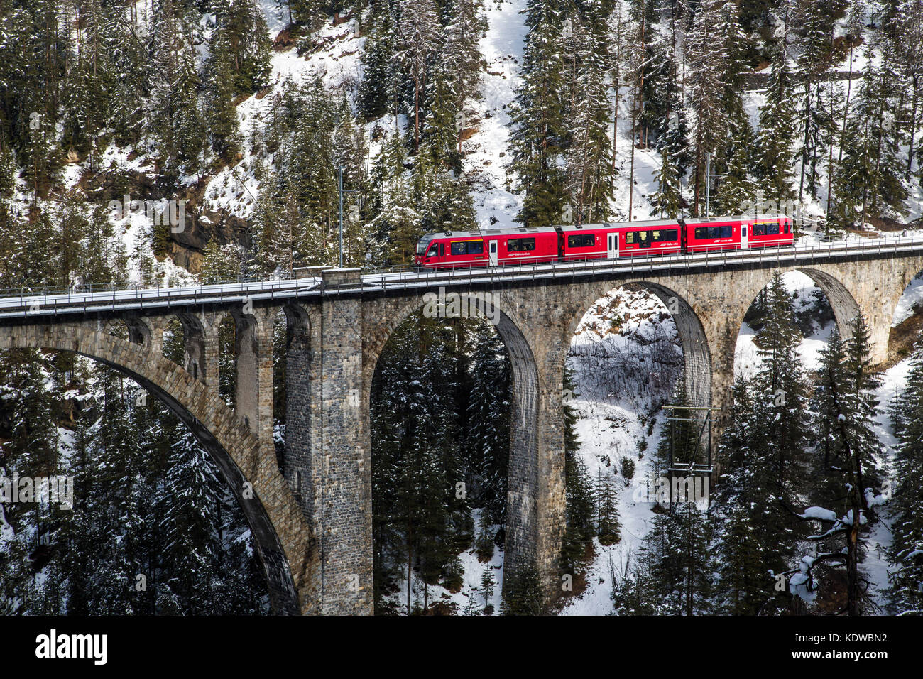 Bernina-Express-Zug am Wiesener Viadukt mitten im verschneiten Wald Davos Albula Valley Kanton Graubünden Schweiz Europas Stockfoto