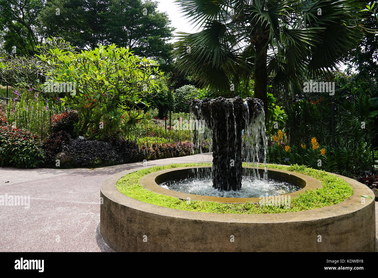 Singapur National Orchid Garden singapur Orchideen Garten. Stockfoto