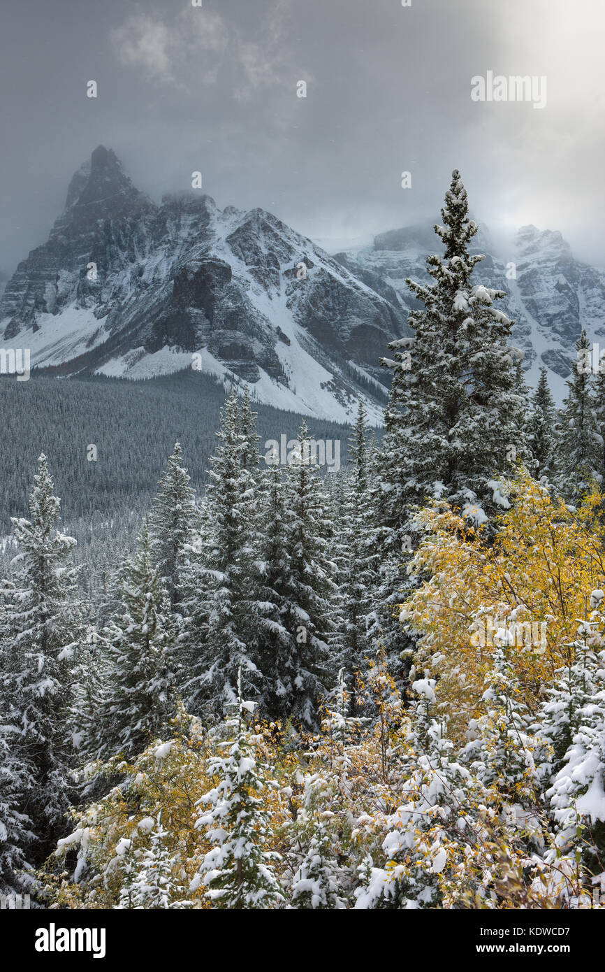 Der erste Schnee des Winters im Tal der zehn Gipfel, Banff National Park, Alberta, Kanada Stockfoto