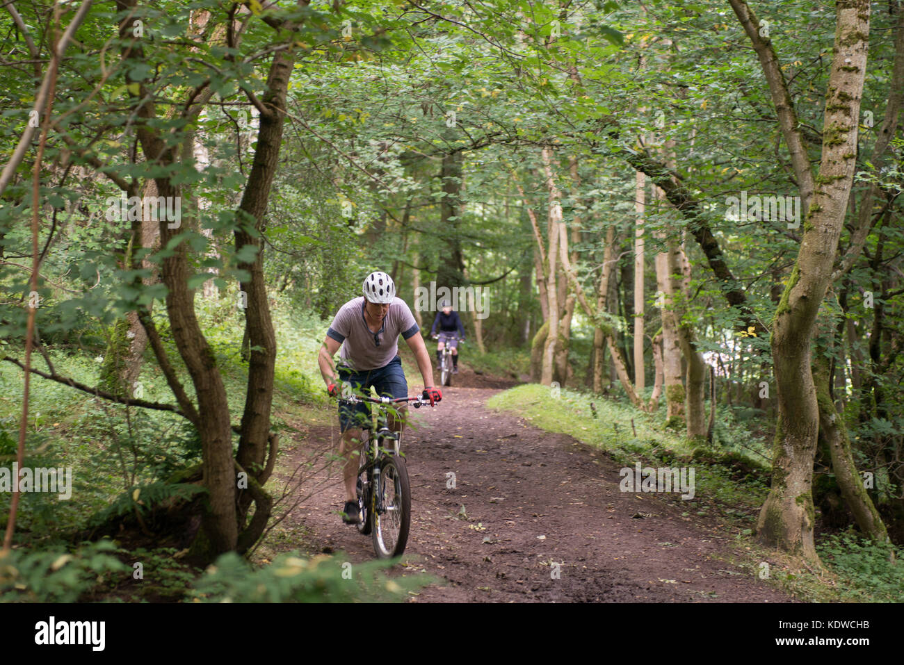 Mountainbiker des Hl. Ronan Holz, Innerleithen, Schottland. Sommer. Stockfoto