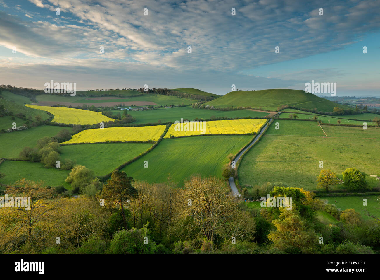 Die Straße nach Corton Denham über kember's Hill & Whitcombe von Cadbury Castle, South Somerset, England, Großbritannien Stockfoto