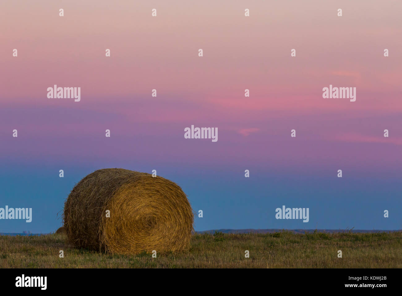 Ein Heuballen, der von einem Feld in den Ausläufern westlich von Calgary geerntet wurde, liegt unter dem abendlichen alpenglow am östlichen Himmel. Stockfoto