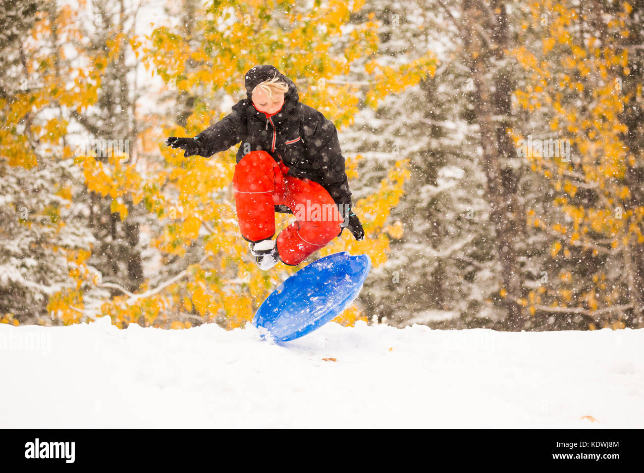 Ein Junge springt auf seine Disc, während Schnee Rodeln bei einem späten Herbst Schneefall in Redwood Creek, Alberta, Kanada. Stockfoto