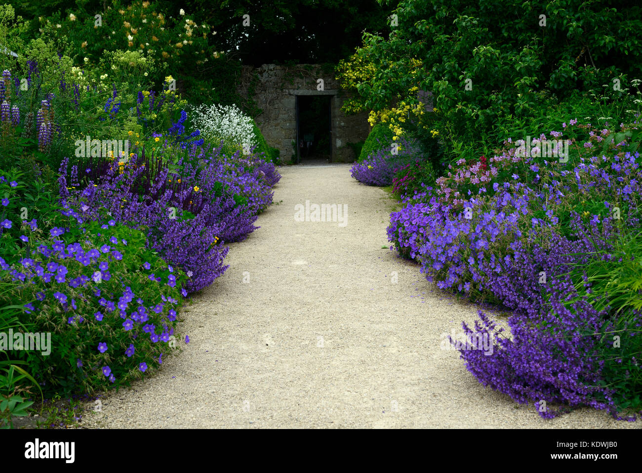 Altamont Gardens, Corona Nord, commemorative Grenze, Staudenbeet