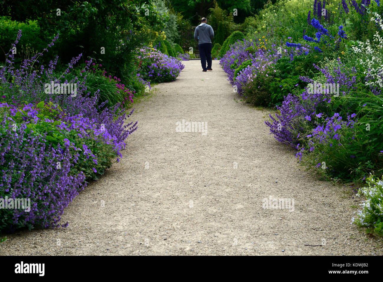 Altamont Gardens, Corona Nord, commemorative Grenze, Staudenbeet