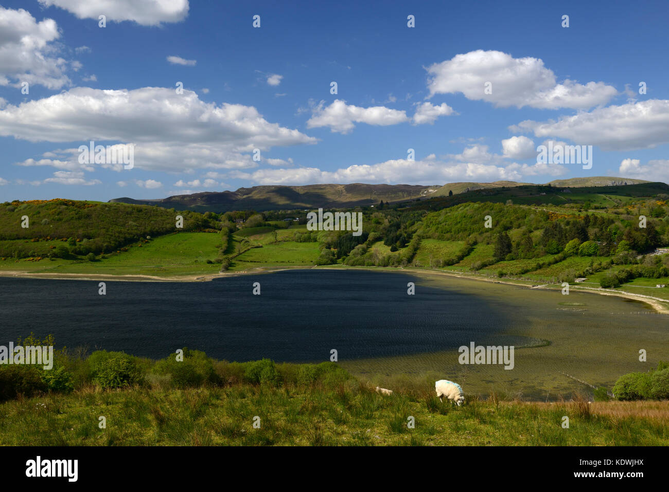 Donegal, See, Lough, Berge, Schafe, Scenic, Landschaft, Landschaft, wilden Atlantik Weg, Irland, RM Irland, Stockfoto