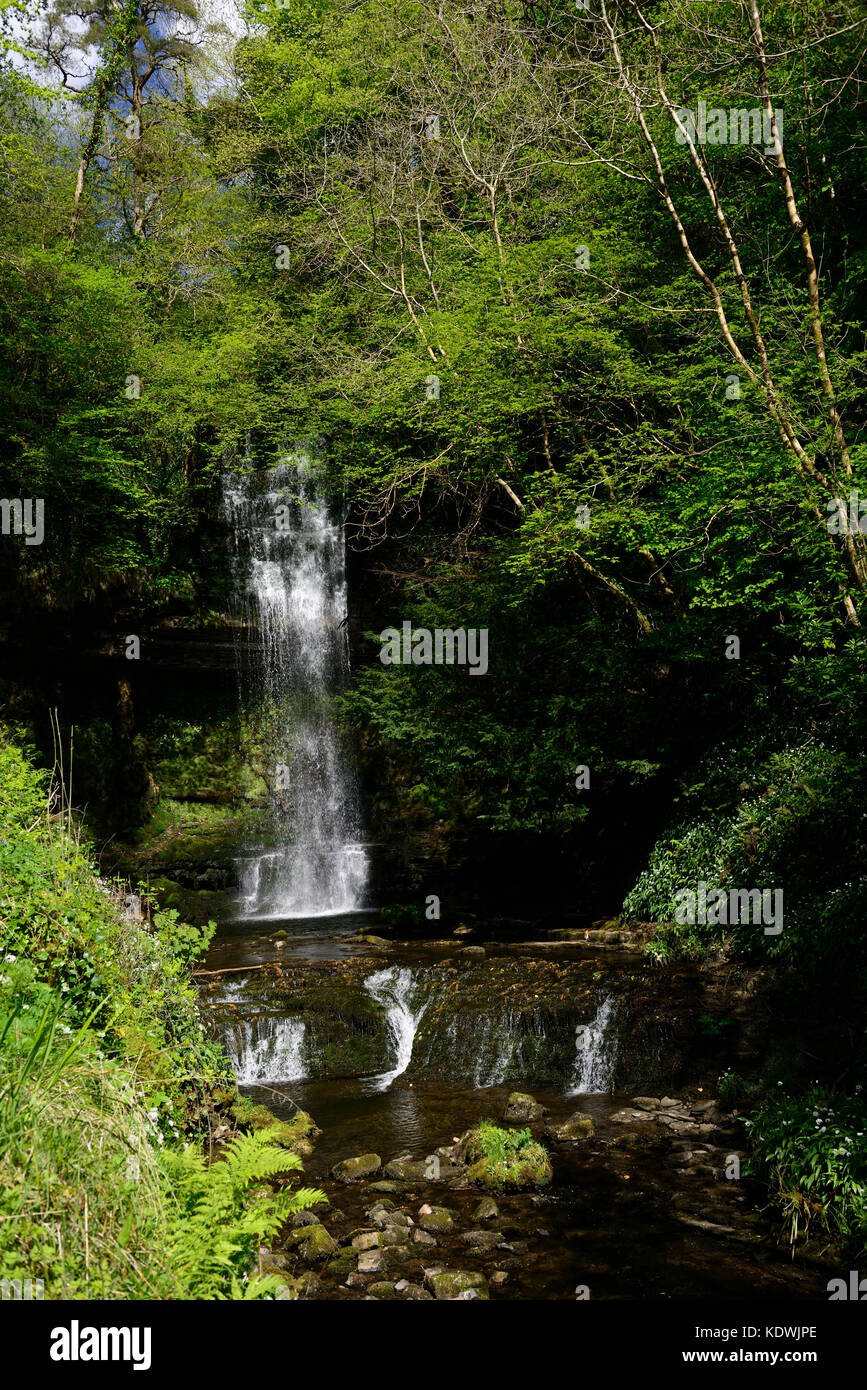 Glencar Wasserfall, Inspirieren, Inspiration, das gestohlene Kind, Gedicht, Lyrik, William Butler Yeats, County Leitrim, Irland, wilden Atlantik, RM Irland, Stockfoto