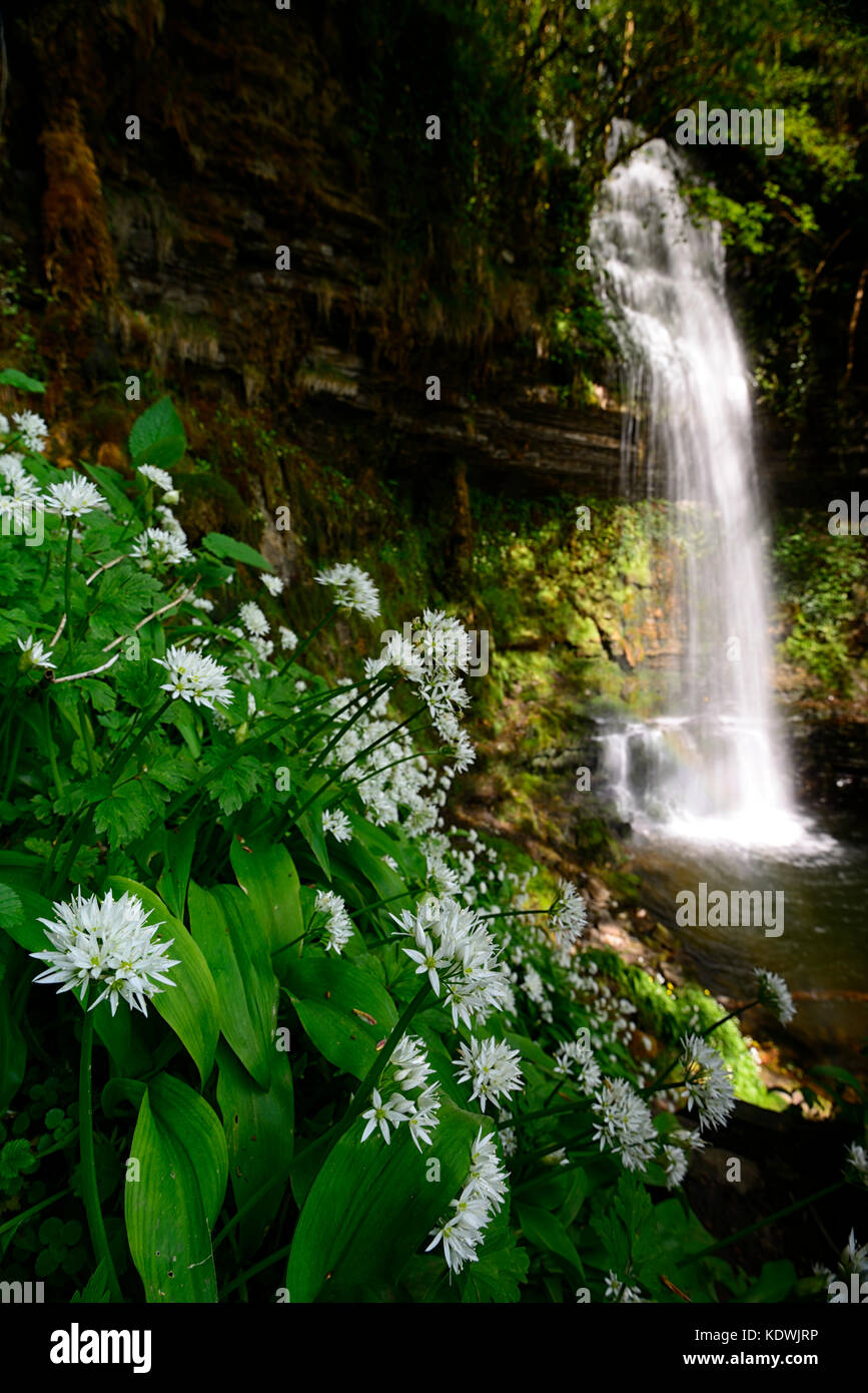 Glencar Wasserfall, Inspirieren, Inspiration, das gestohlene Kind, Gedicht, Lyrik, William Butler Yeats, County Leitrim, Irland, wilden Atlantik, RM Irland, Stockfoto