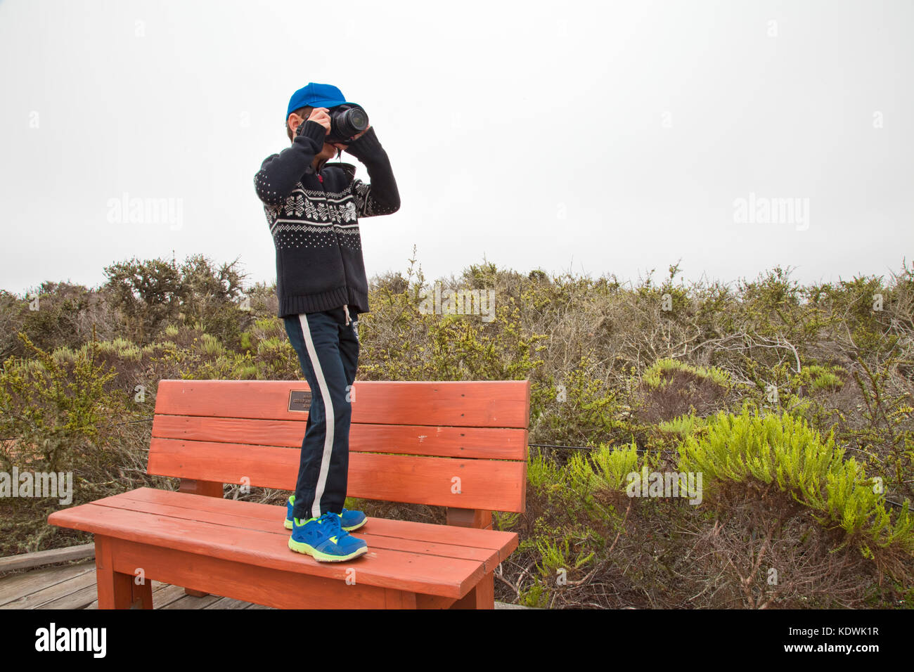 Junge Bilder mit einer Kamera, elfenhaften Wald, baywood Park, San Luis Obispos County, Kalifornien, USA (mr) Stockfoto