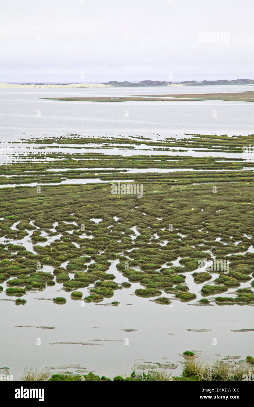 Naturliche Filtration Stockfotos Und Bilder Kaufen Alamy