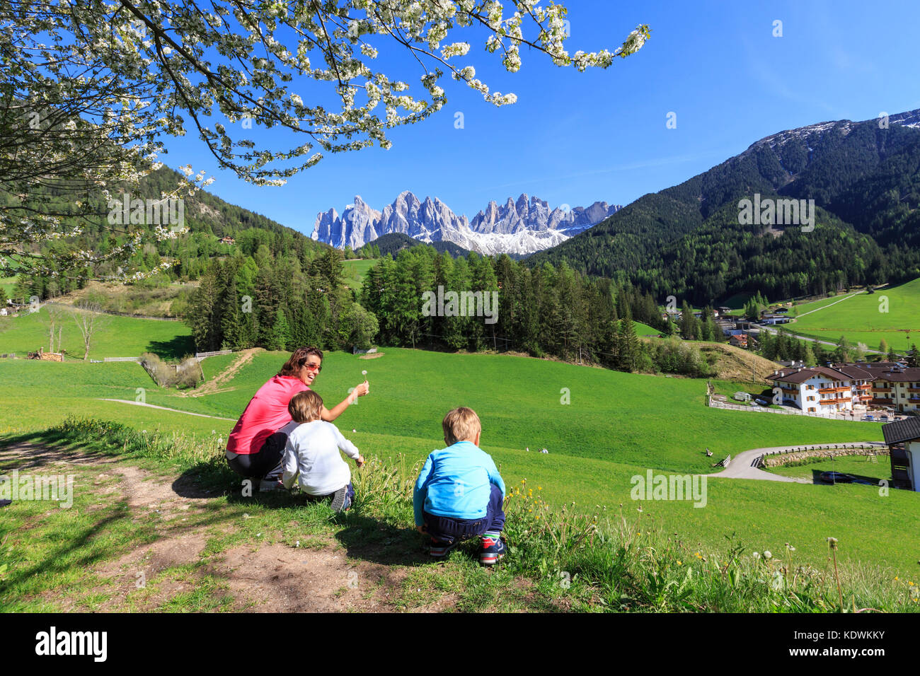 Eine Familie auf grünen Wiesen bewundert die blühenden Bäume am Fuße der Geisler Villnösser Tal Südtirol Dolomiten Italien Europa Stockfoto