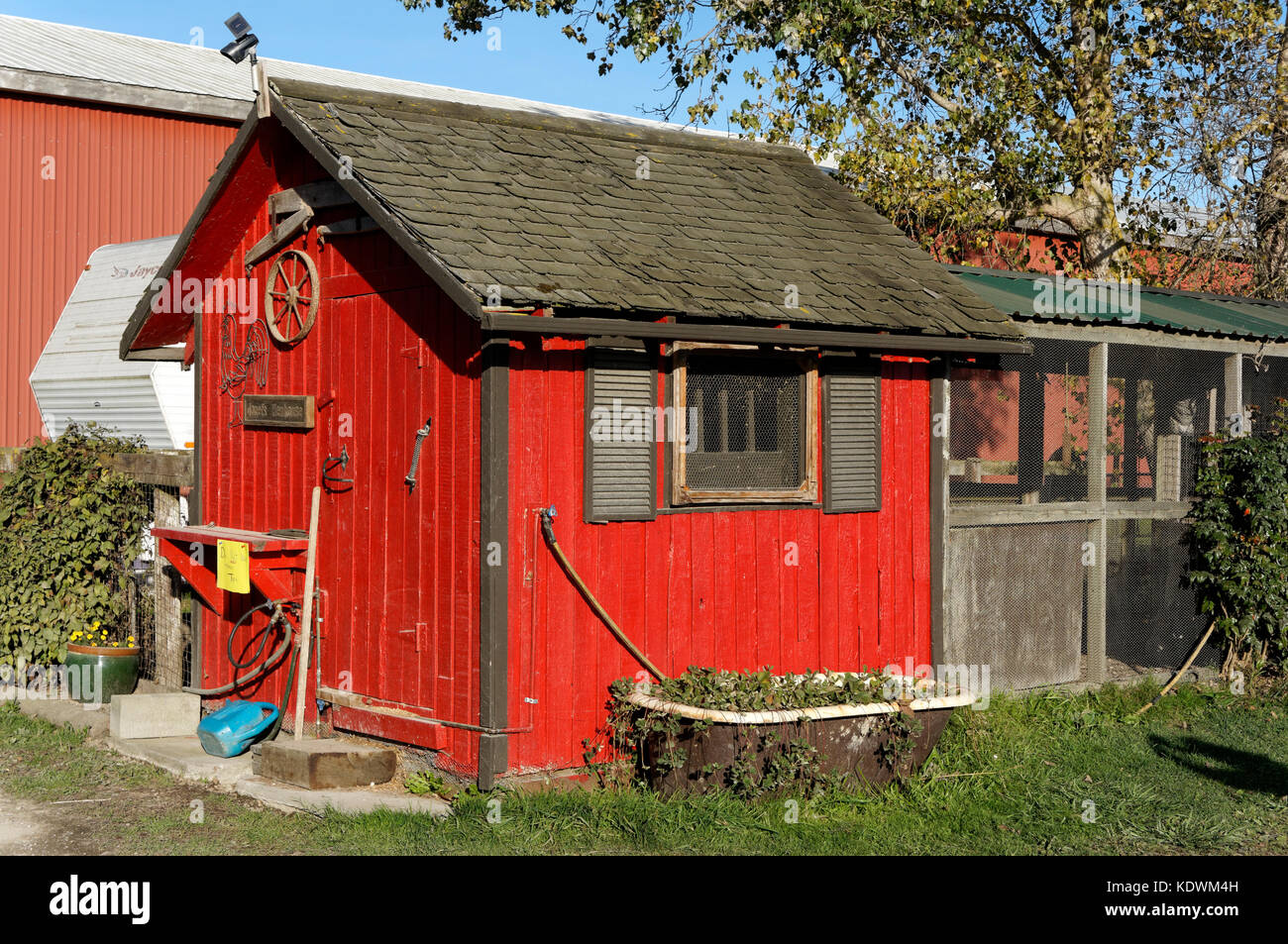 Rote hölzerne an westham Island Herb Farm, South Delta, British Columbia, Kanada vergossen Stockfoto