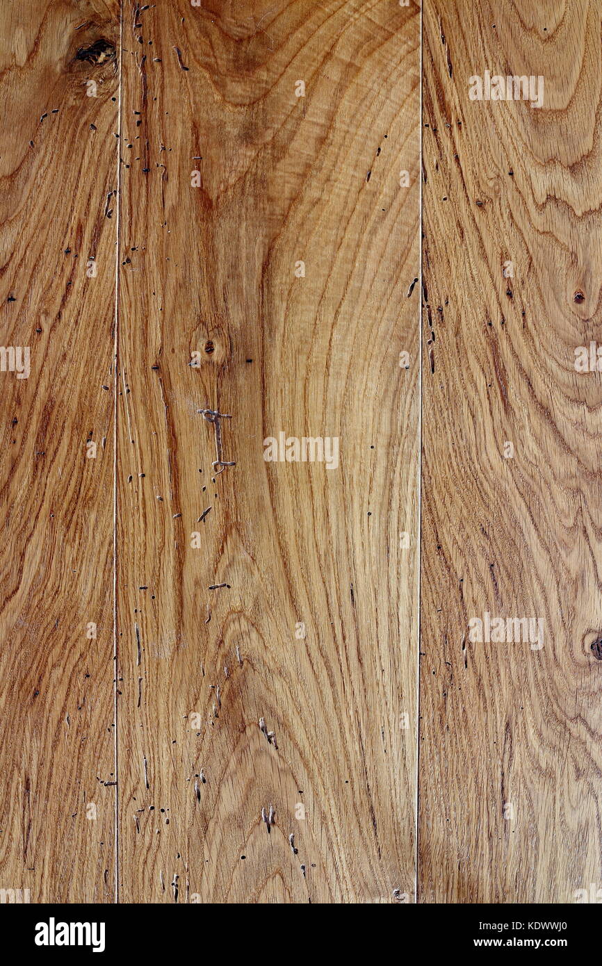 Aus Holz Textur Hintergrund Kacheln nahtlos in alle Richtungen. Stockfoto