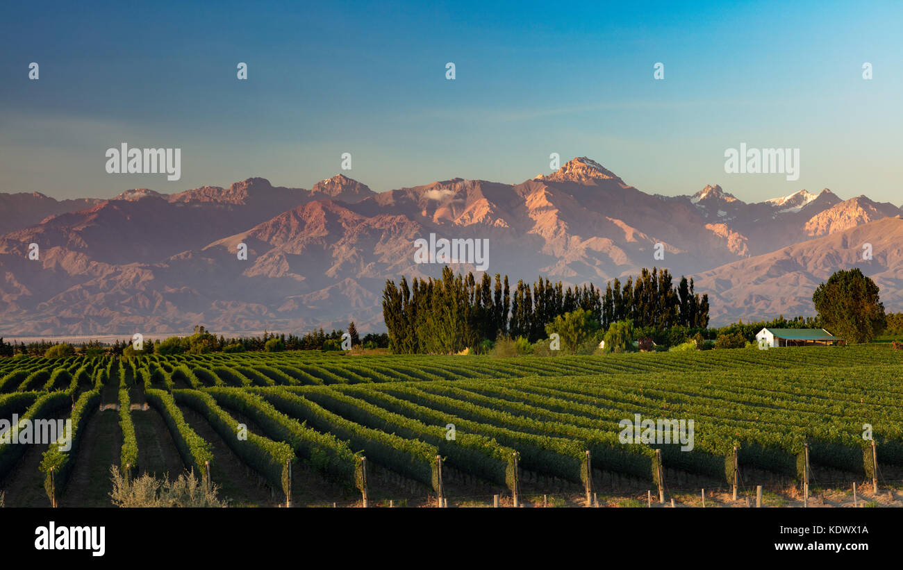 Die Anden von den Weinbergen der Uco Tal nr Tupungato, Mendoza, Provinz, Argentinien Stockfoto Die Anden von den Weinbergen der Uco Tal nr Tupungato, Mendoza, Provinz, Argentinien Stockfoto