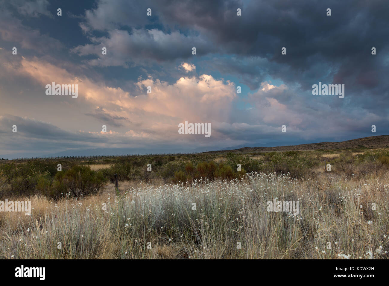 Recherchierst Licht auf dem Campo in inmitten der Weinberge des Uco Tal, Provinz Mendoza, Argentinien Stockfoto