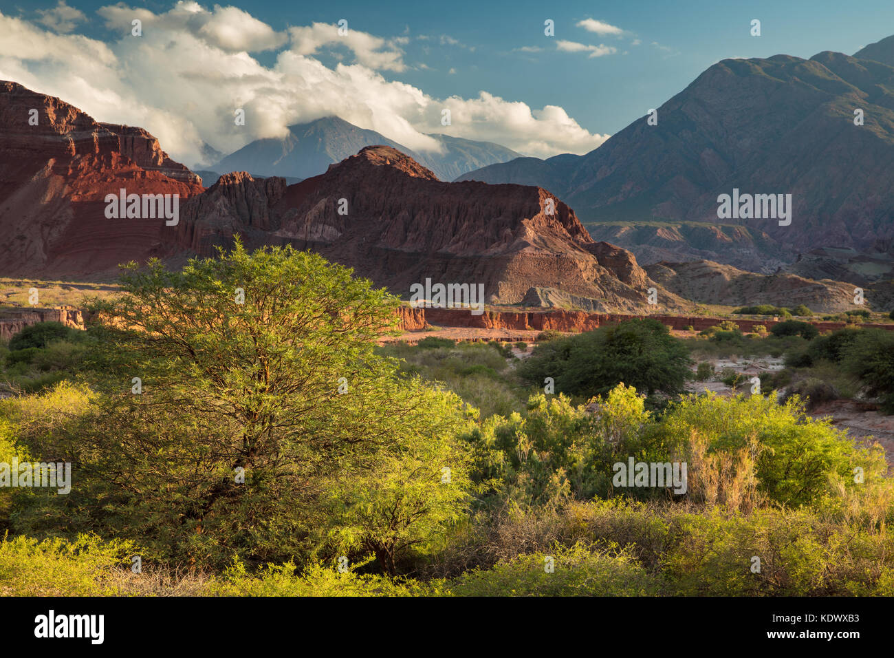 Die Quebrada de la Conches, Valles Calchaquies, Provinz Salta, Argentinien Stockfoto