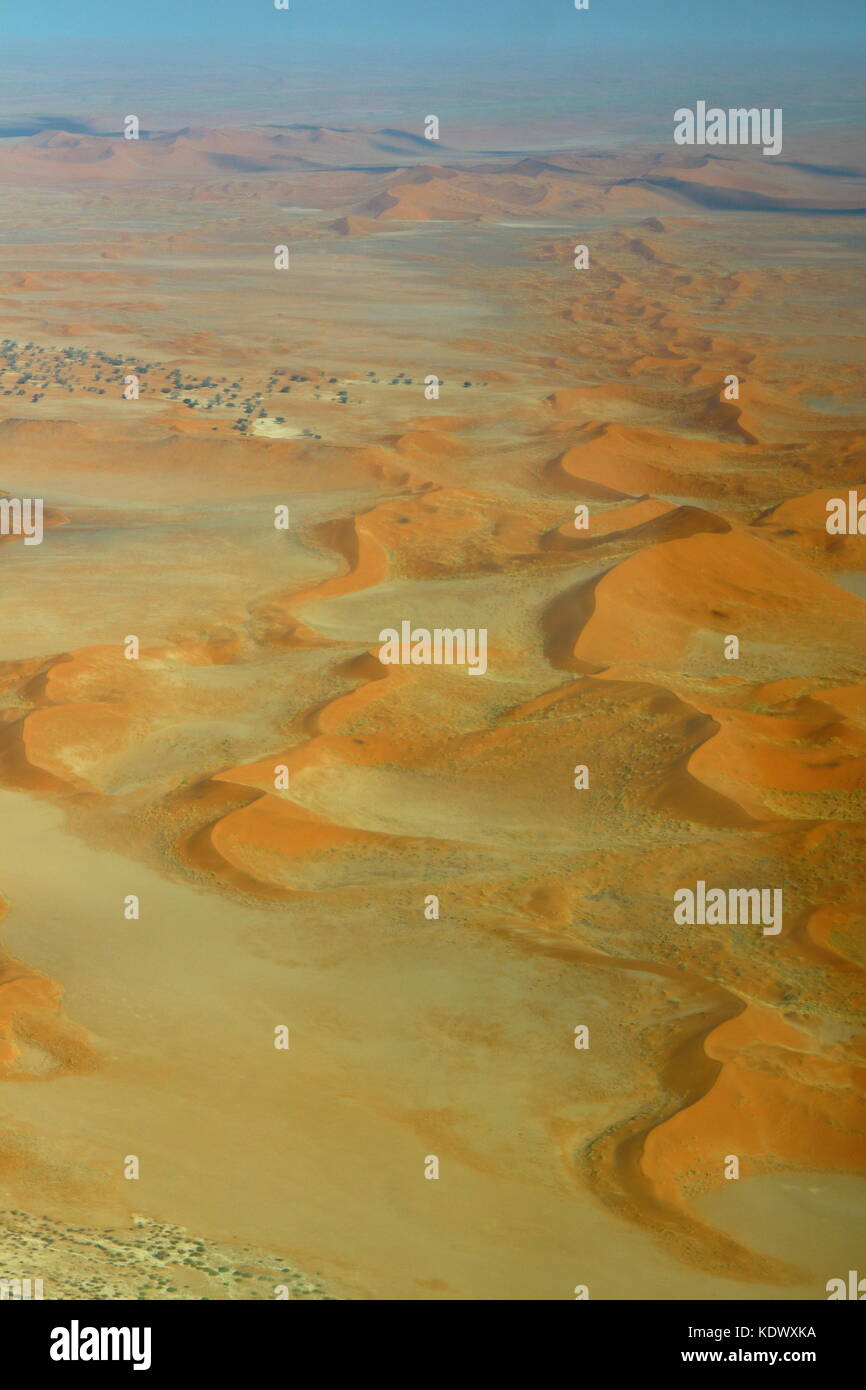 Sossusvlei: tote Akazien in der Wüste Namib, Namibia Stockfoto