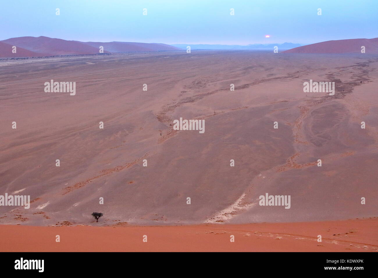 Sossusvlei: tote Akazien in der Wüste Namib, Namibia Stockfoto