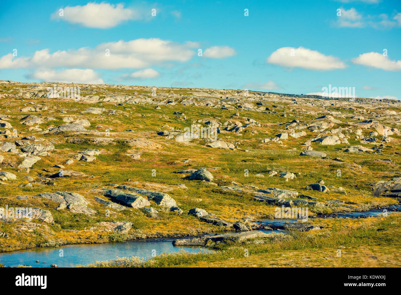Arktische Wildnis, Tundra, minimalistischer Landschaft. Schöne Natur Norwegen Stockfoto