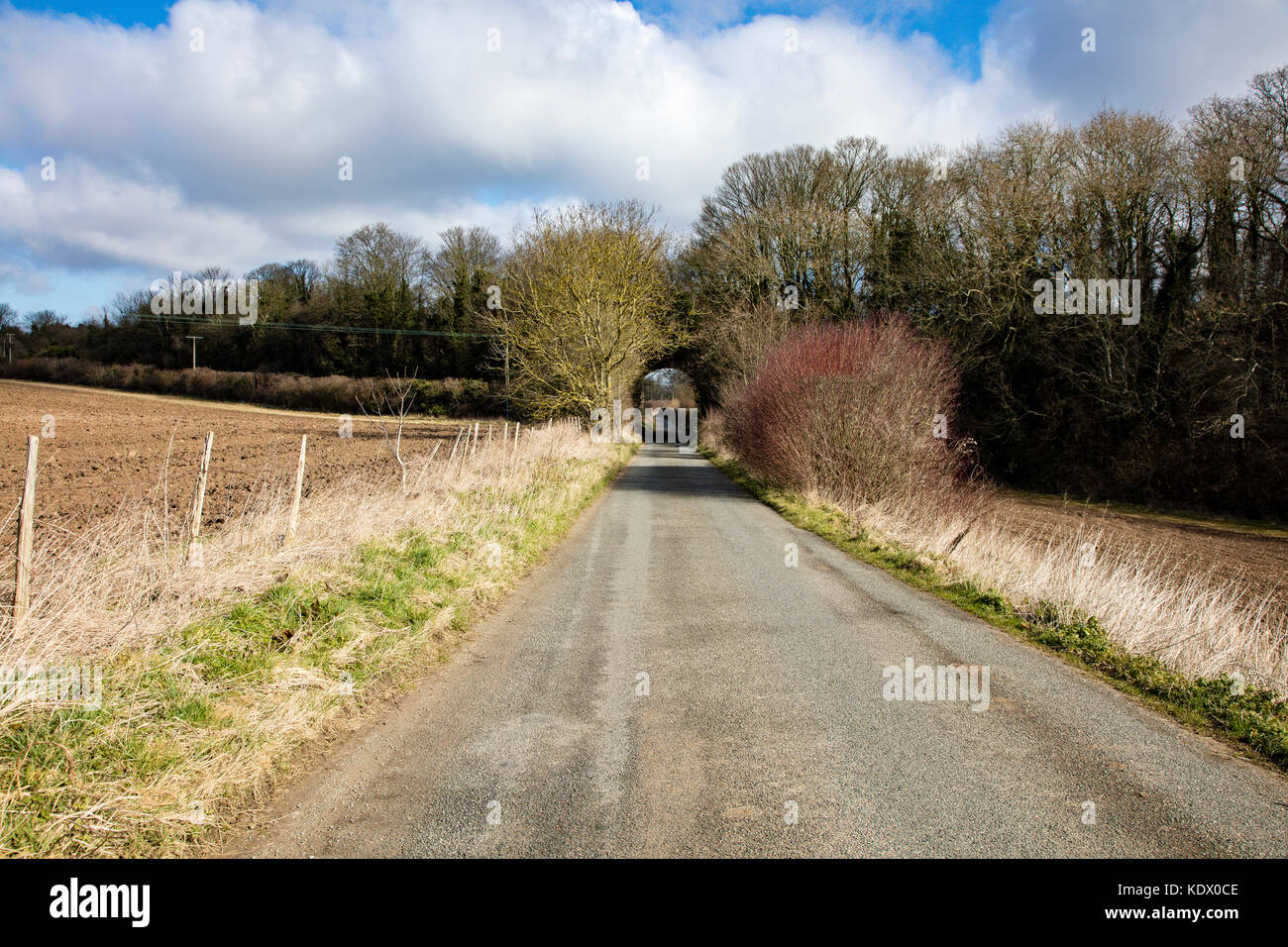 Eisenbahnbrücke und ländliche Ansichten von Kent in der Nähe von bekesbourne auf Barham Downs, in der Nähe von Canterbury, Kent, Großbritannien Stockfoto