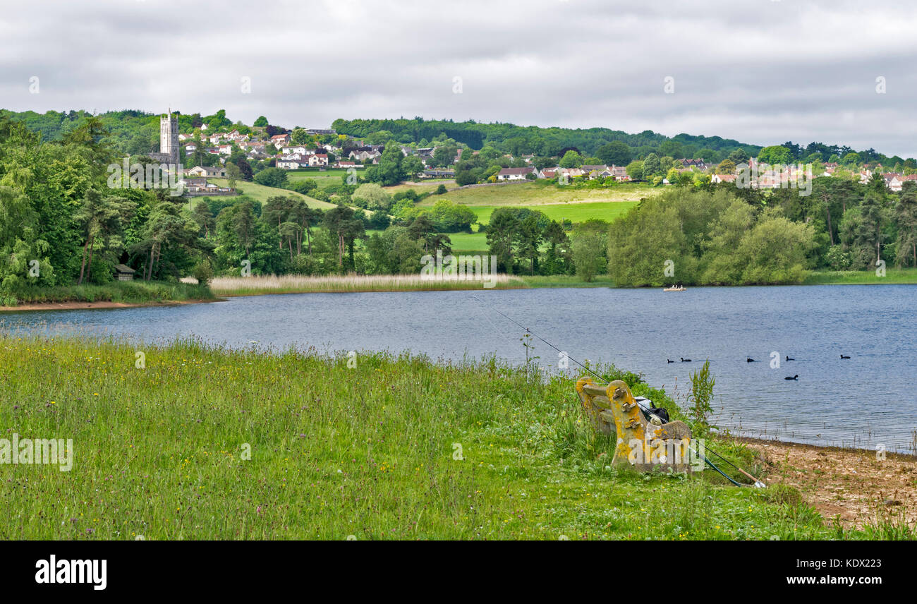 BLAGDON LAKE SOMERSET ENGLAND Frühling die Wiesen voller wilder Blumen mit BLAGDON DORF UND KIRCHE IM HINTERGRUND Stockfoto