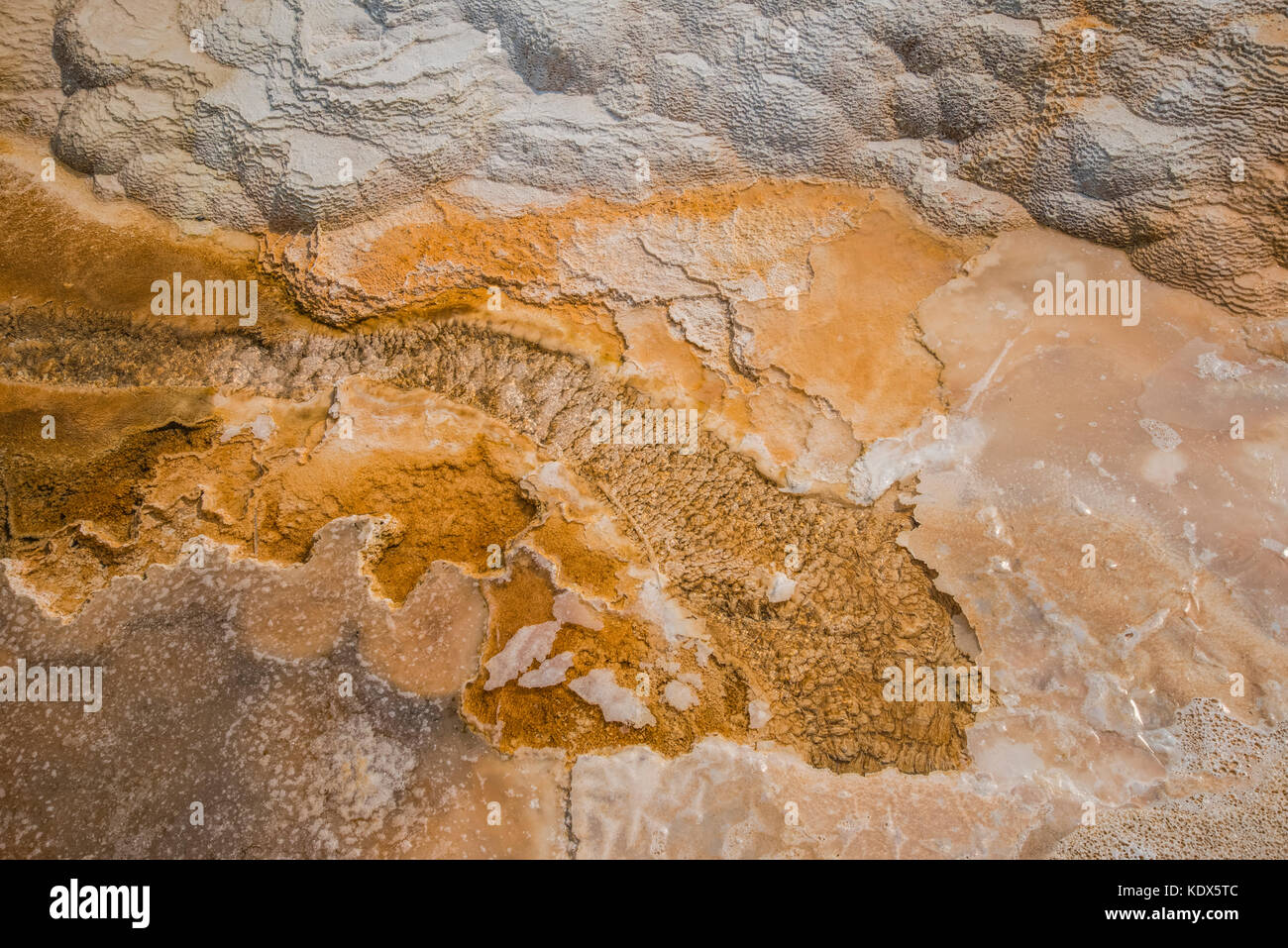 Mammoth Hot Springs geo-thermischen Bereich des Yellowstone National Park, Wyoming Stockfoto