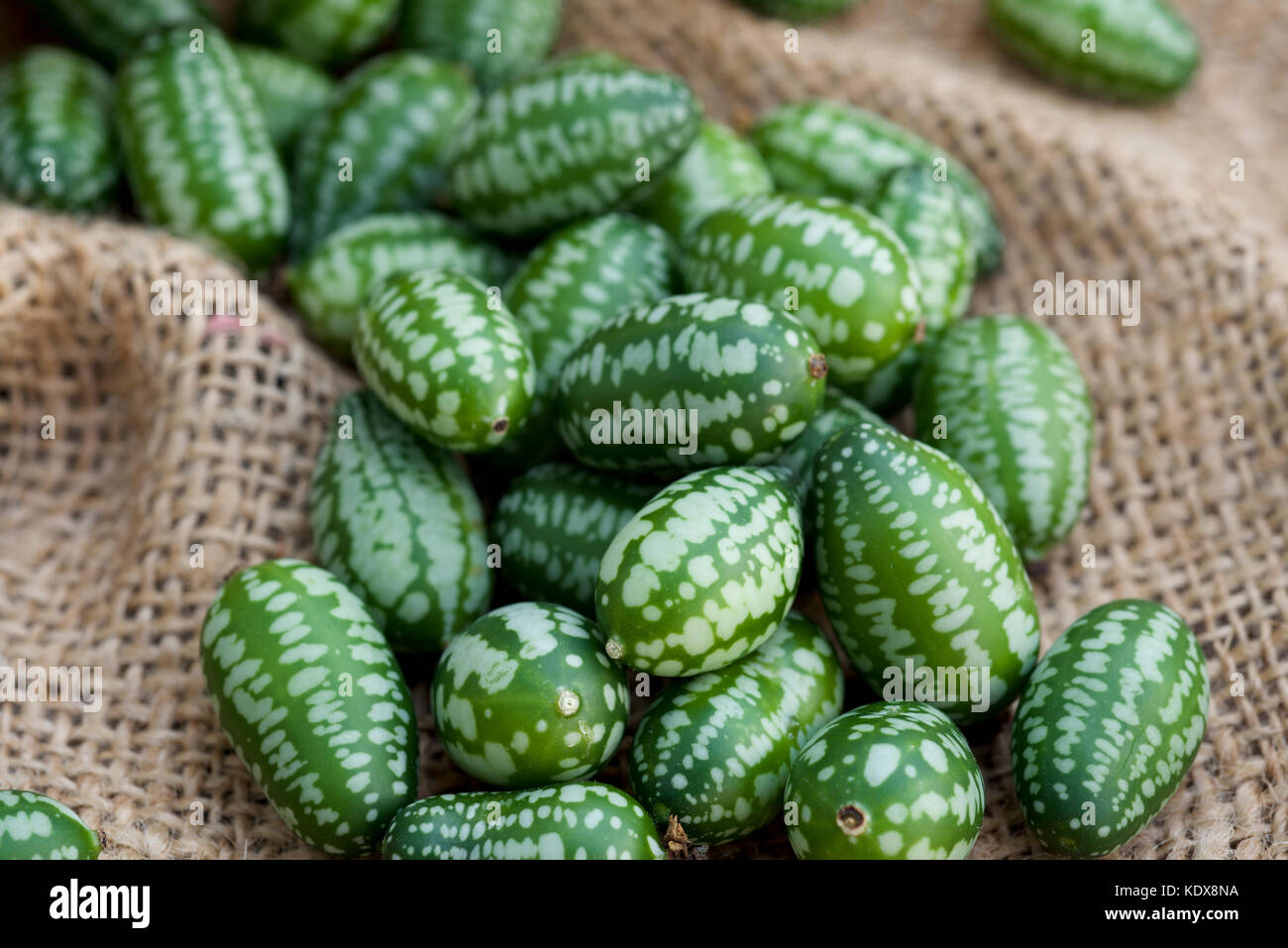 Saure Gurken Stockfotos und -bilder Kaufen - Alamy