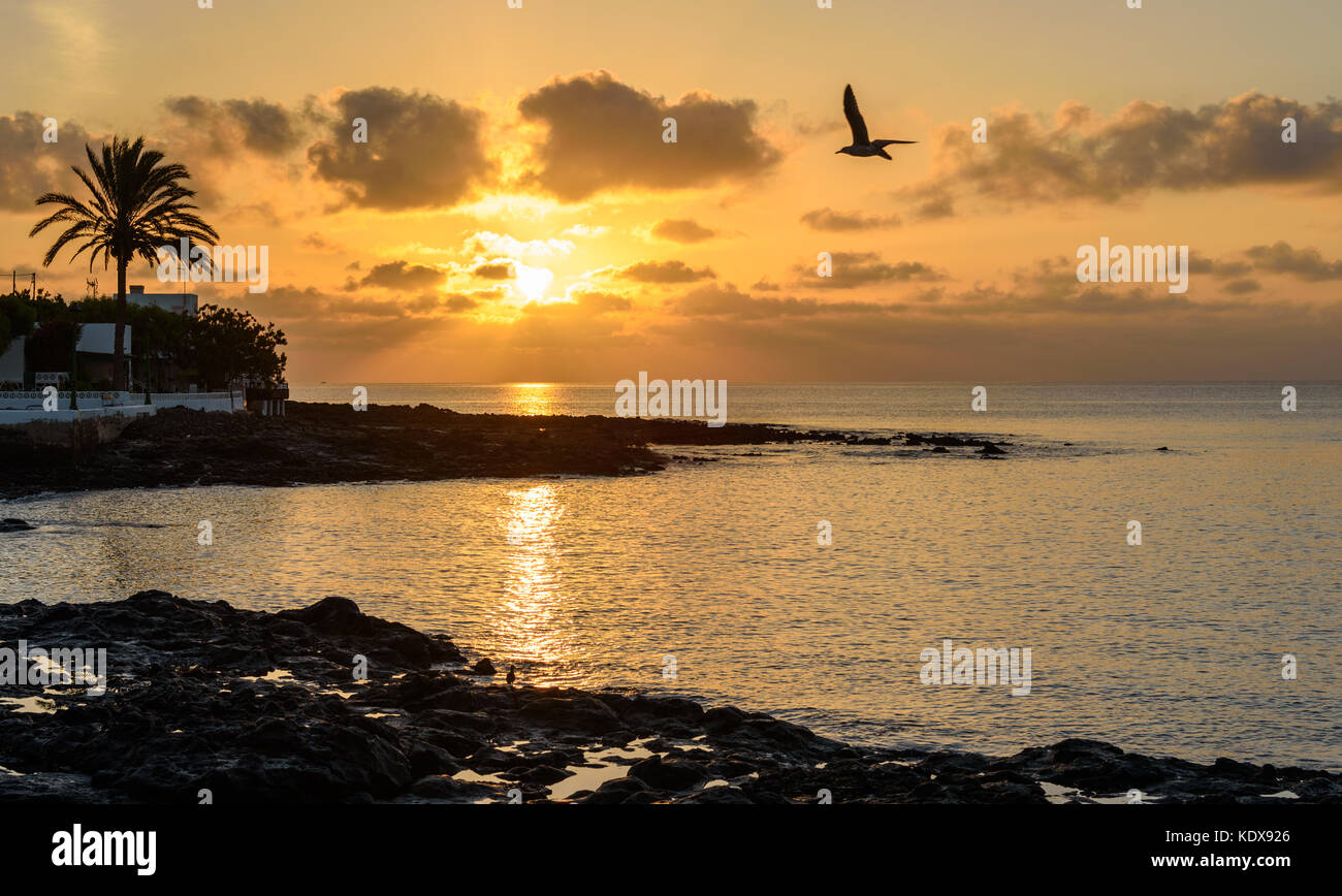 Sonnenuntergang am Strand, Lanzarote, Kanarische Inseln, Spanien Stockfoto