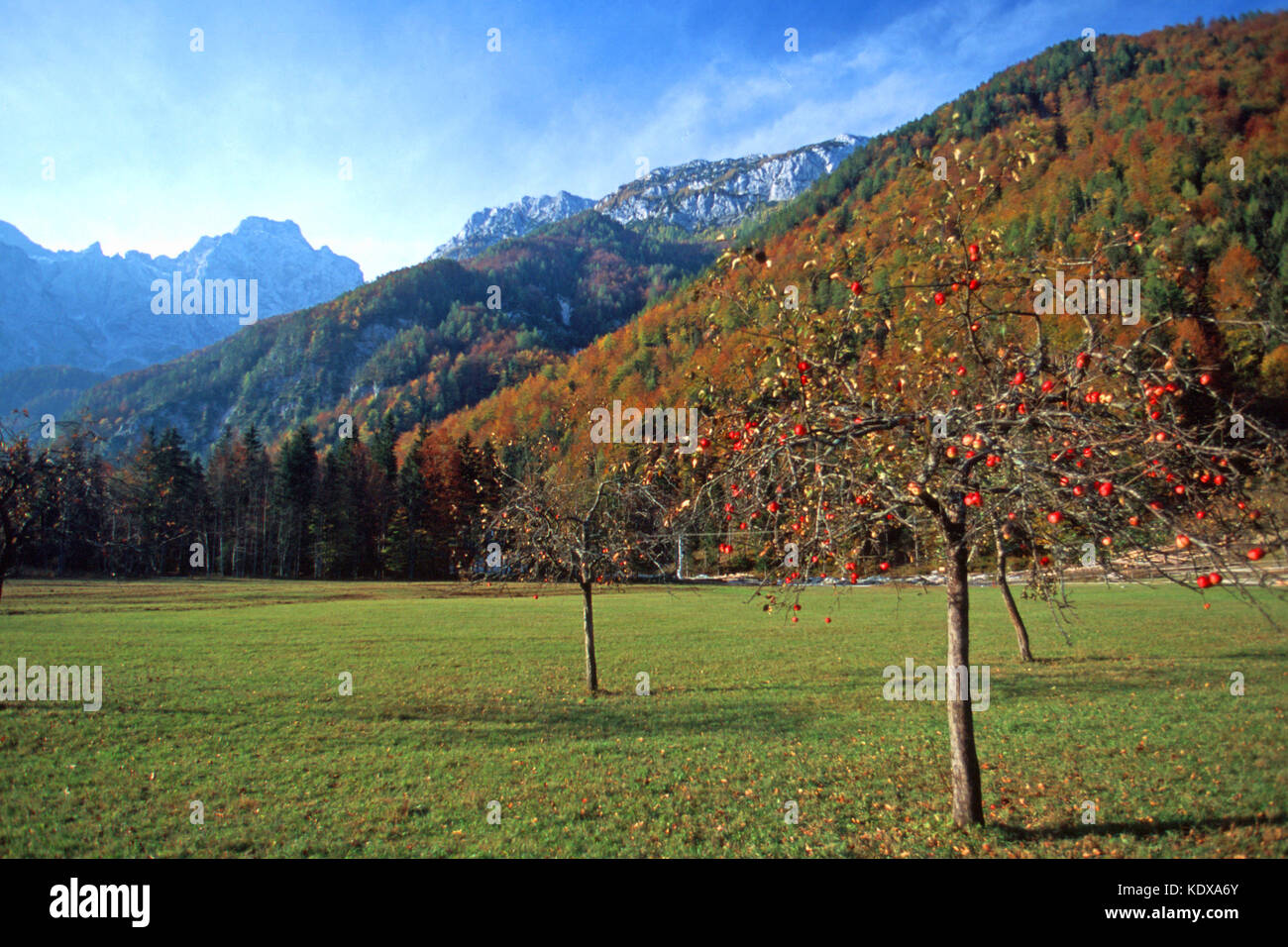Slowenien, Kamnik, Logartal (Logarska Dolina) in den Julischen Alpen