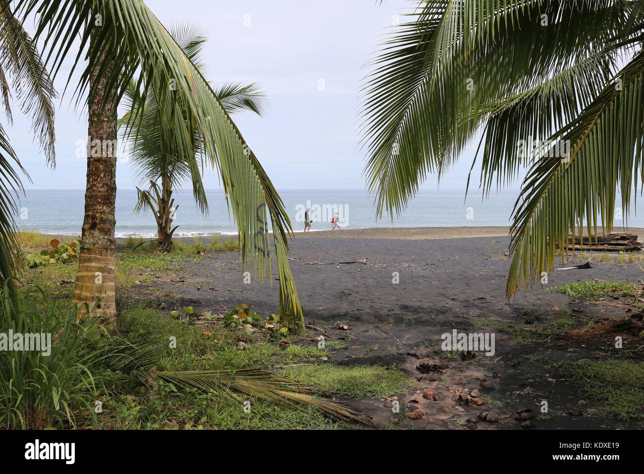 Playa Negra, Puerto Viejo de Talamanca, Provinz Limón, Karibik, Costa Rica, Mittelamerika Stockfoto