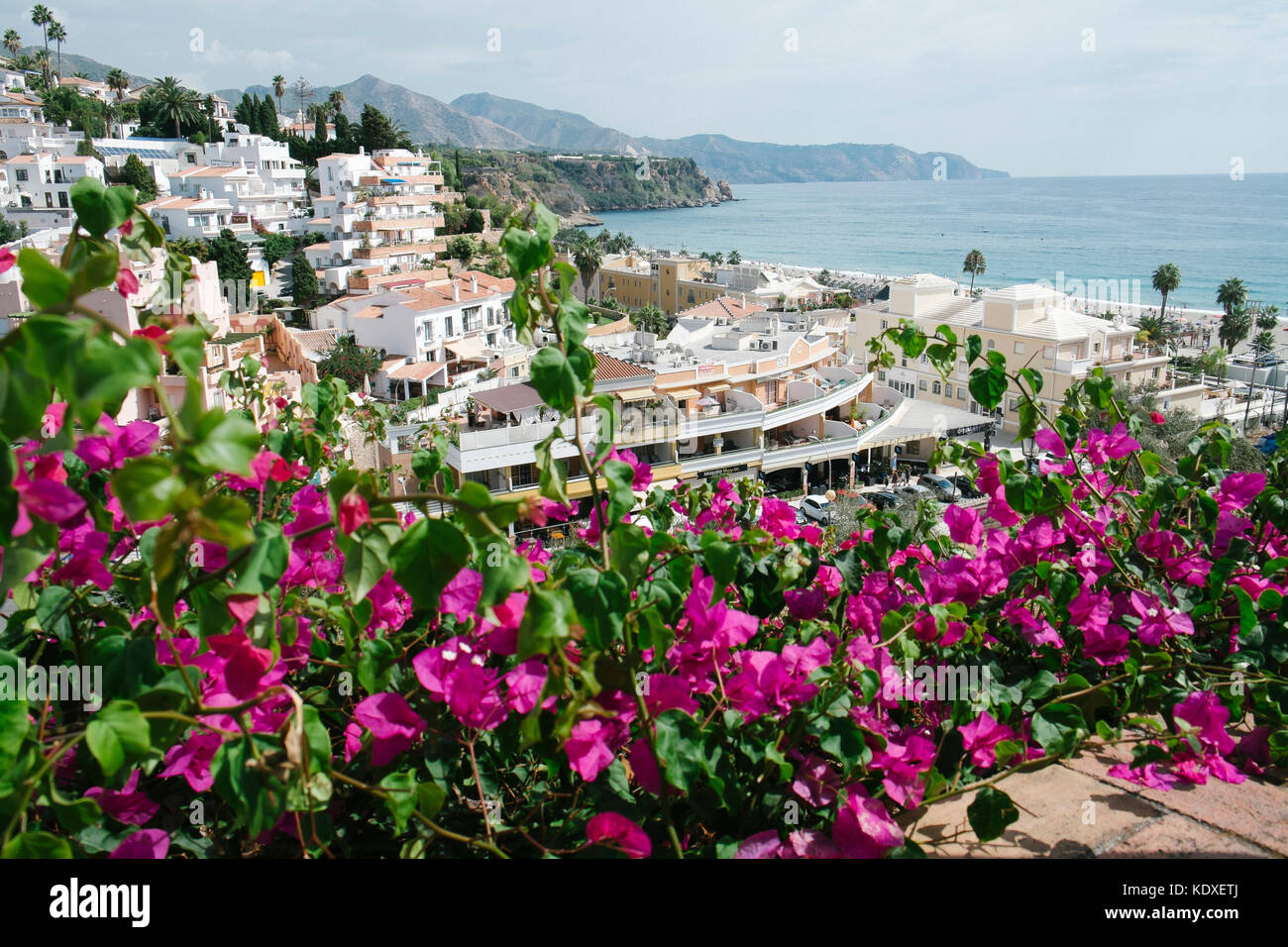 Ein Blick auf den Strand in Nerja, Spanien mit rosa/lila Blüten im Hintergrund Stockfoto