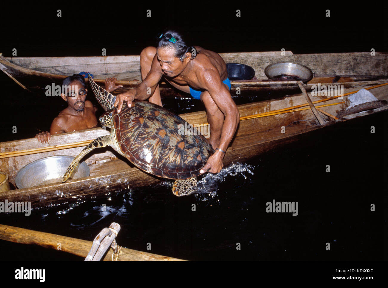 Indonesien. Sulawesi. Sama-Bajau Menschen. Turtle Jäger Erfassen einer Schildkröte. Stockfoto