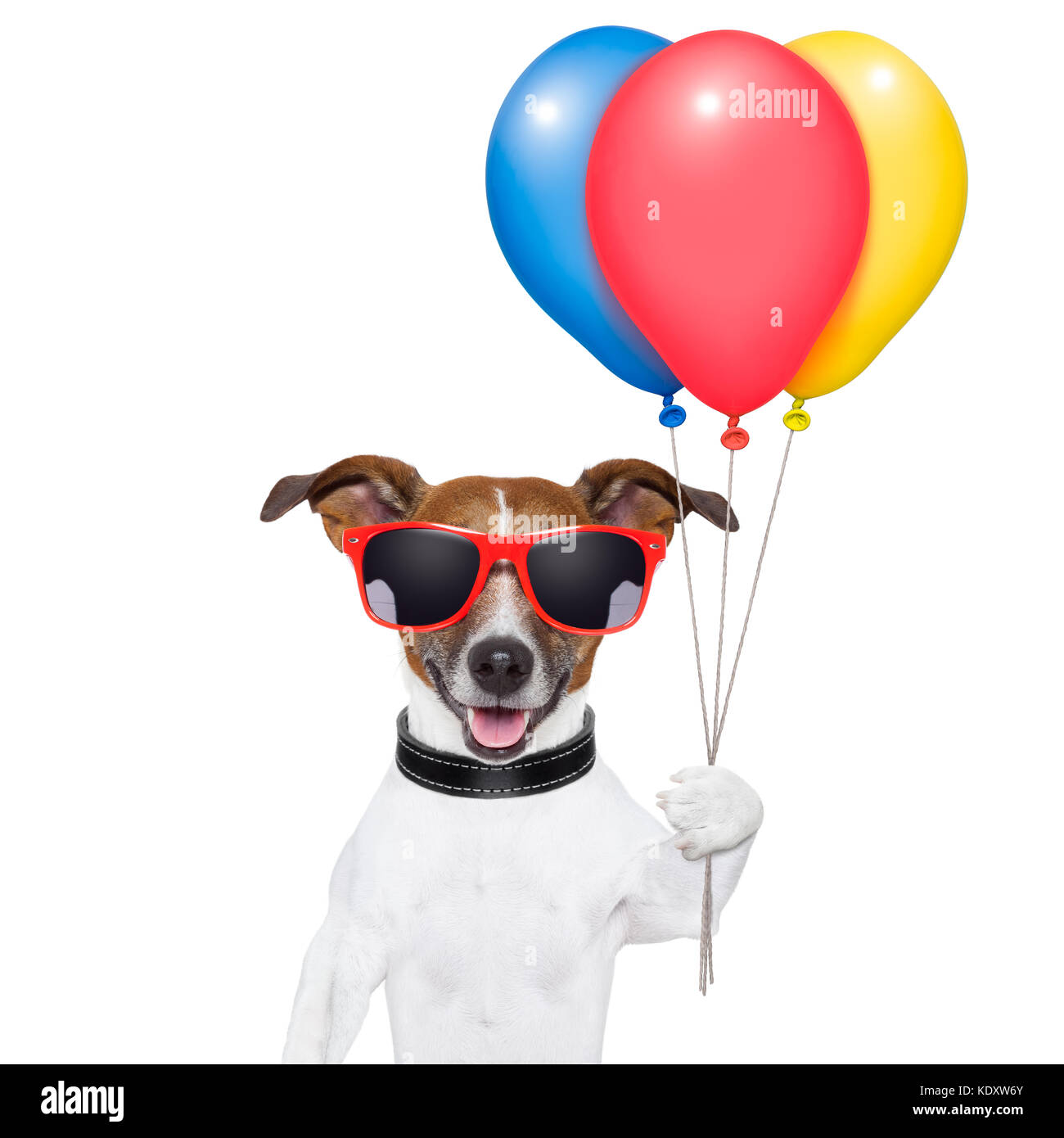 Hund mit Bündel Luftballons und Zuckerwatte und Schattierungen Stockfoto