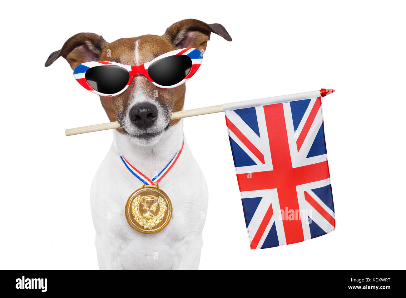 Olympische Hund mit der Großbritannien-Flagge Stockfoto