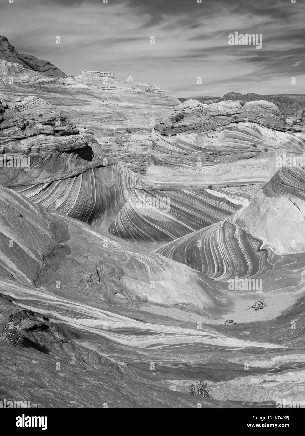 Dramatische Sandstein Falten an der Welle, Vermilion Cliffs National Monument, Arizona. Stockfoto