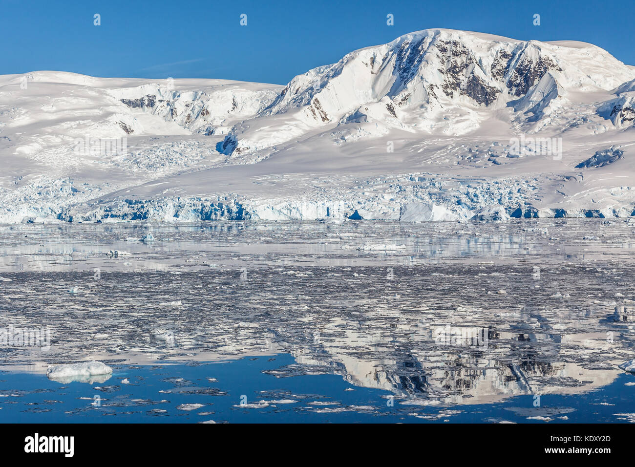 Berge und Gletscher in den antarktischen Gewässern nechos Bucht, Antarktis Stockfoto