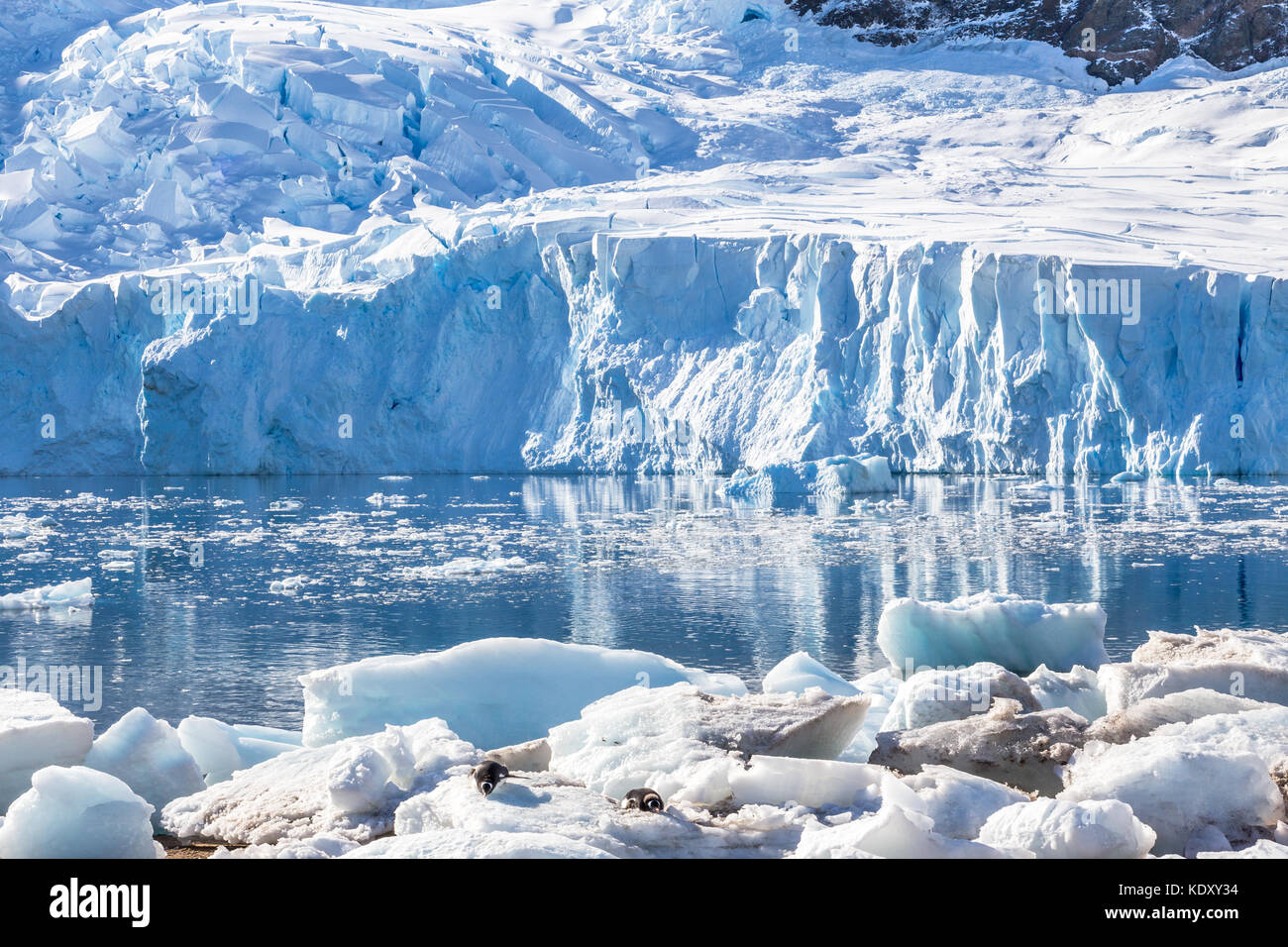 Gletscher in den antarktischen Gewässern nechos Bucht und ein paar Pinguine Verlegung auf Eisberge in der Antarktis nieder Stockfoto