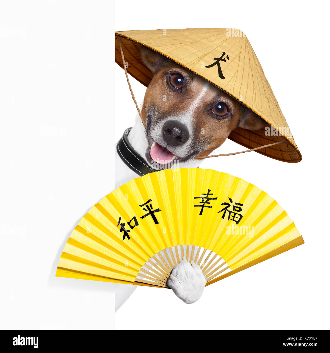 Asiatische Hund mit der Hand Ventilator und China Hut hinter Banner  Stockfotografie - Alamy